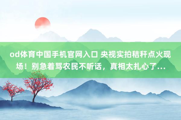 od体育中国手机官网入口 央视实拍秸秆点火现场！别急着骂农民不听话，真相太扎心了…