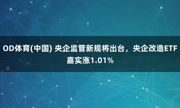 OD体育(中国) 央企监管新规将出台，央企改造ETF嘉实涨1.01%