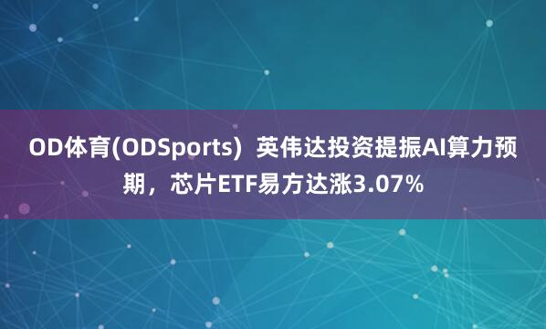 OD体育(ODSports)  英伟达投资提振AI算力预期，芯片ETF易方达涨3.07%