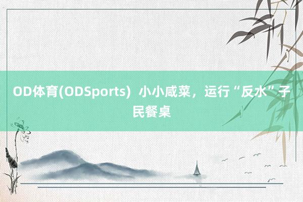 OD体育(ODSports)  小小咸菜，运行“反水”子民餐桌