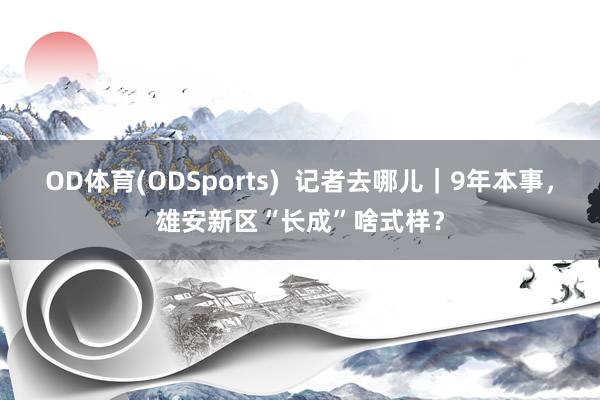 OD体育(ODSports)  记者去哪儿｜9年本事，雄安新区“长成”啥式样？