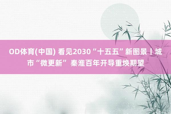 OD体育(中国) 看见2030“十五五”新图景丨城市“微更新” 秦淮百年开导重焕期望