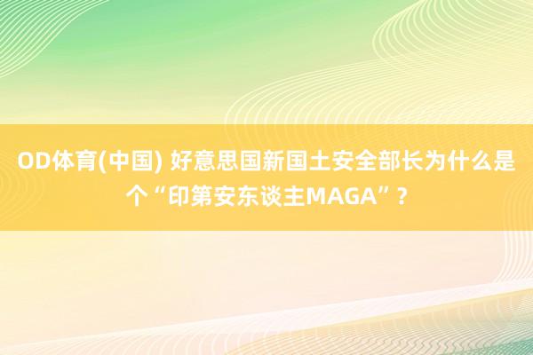 OD体育(中国) 好意思国新国土安全部长为什么是个“印第安东谈主MAGA”？