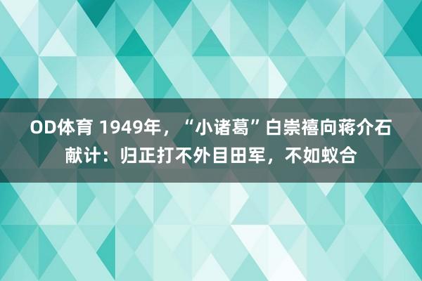 OD体育 1949年，“小诸葛”白崇禧向蒋介石献计：归正打不外目田军，不如蚁合