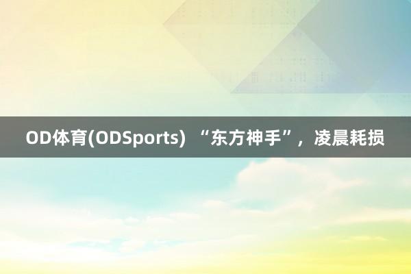 OD体育(ODSports)  “东方神手”，凌晨耗损