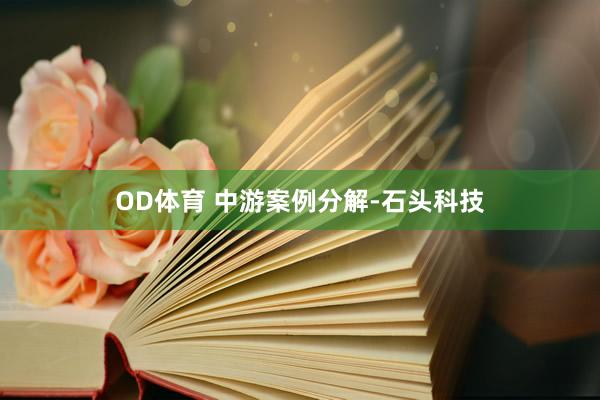 OD体育 中游案例分解-石头科技