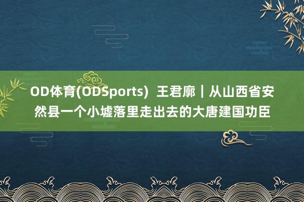 OD体育(ODSports)  王君廓｜从山西省安然县一个小墟落里走出去的大唐建国功臣