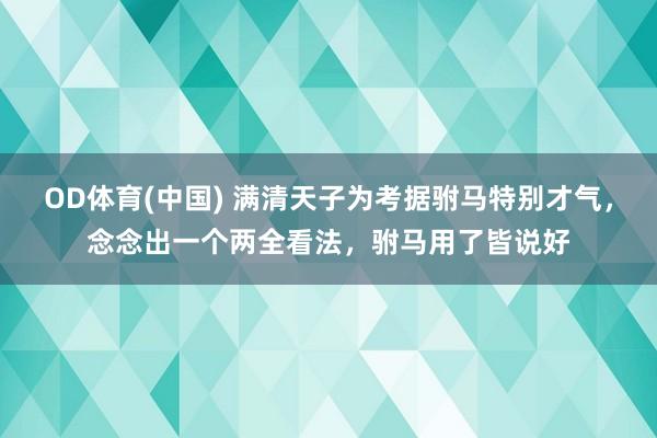 OD体育(中国) 满清天子为考据驸马特别才气，念念出一个两全看法，驸马用了皆说好