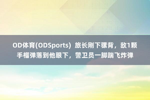 OD体育(ODSports)  旅长刚下骡背，敌1颗手榴弹落到他眼下，警卫员一脚踹飞炸弹